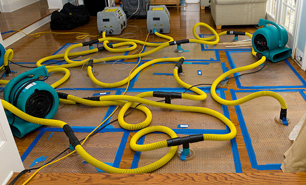 Professional Water Damage Restoration technician working in District Heights, MD